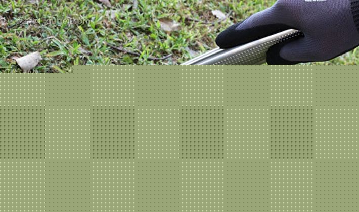 深邦不锈钢园艺工具，钉铲耙四件套，农用园林锄草种菜短钉耙