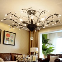 沃嘉黑色创意花形水晶吊灯，铁艺喷漆磨砂LED吸顶灯，型号：MD01 1×MAX60W