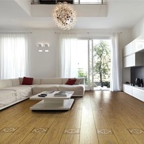 欧式艺术拼花复合地板，MOST/谋思特V型槽强化复合地板，型号: TMTS908