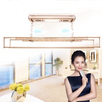 好太太电动智能晒衣架，D-3018B阳台铝合金晾衣架，风干照明1.5米升降晾衣机