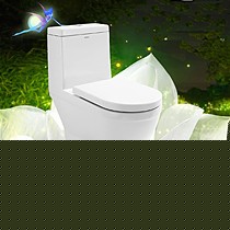 ARROW/箭牌静音直冲式坐便器，型号AB1287，防臭地排式连体式马桶