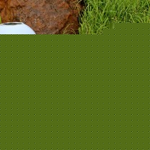 朗吉蒂品牌现代简约落地式庭院灯，2.8瓦LED太阳能围墙灯，型号W-601室外灯