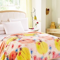 贝思缦加厚绒毯，面料升级的高品质法兰绒毯子，货号BSM-012