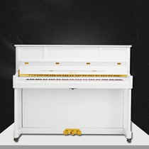 珠江白色长方形钢琴，实木喷漆立式演奏琴，88全键儿童练习琴