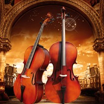 音艺实木色高档成人大提琴，实木烤漆初学者练习琴，型号：HYD-12