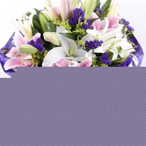 礼之尚XH47清香饱满百合鲜花，纯白狐尾百合多汁鲜花花束，原产云南优质送人花朵装饰