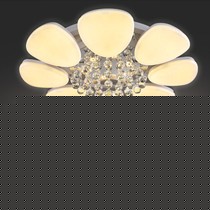 光宇照明圆形花瓣吸顶灯，可旋转琥珀客厅卧室灯饰，型号: DG1543