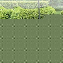 娇妻贵子现代简约藤桌椅组合，圆弧形天然环保休闲椅，型号: H-8263